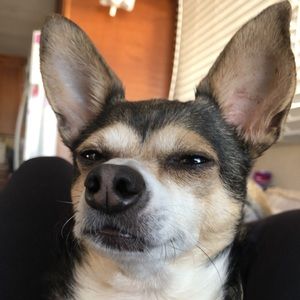 Meet your Posher, Itzel